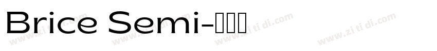 Brice Semi字体转换
